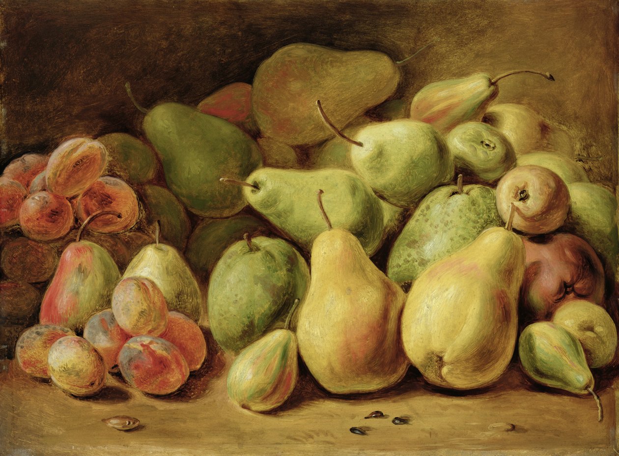 Hedelmät asetelma tekijältä Johann Friedrich August Tischbein