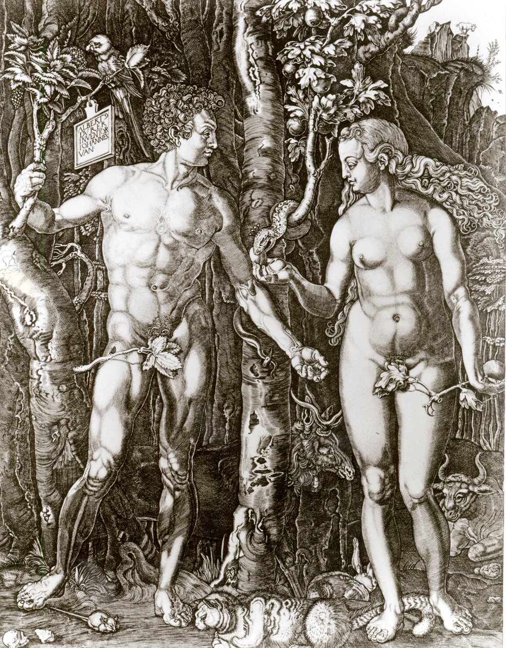 Adam ja Eeva Albrecht Durerin (1471-1528) jälkeen tekijältä Johann Ladenspelder
