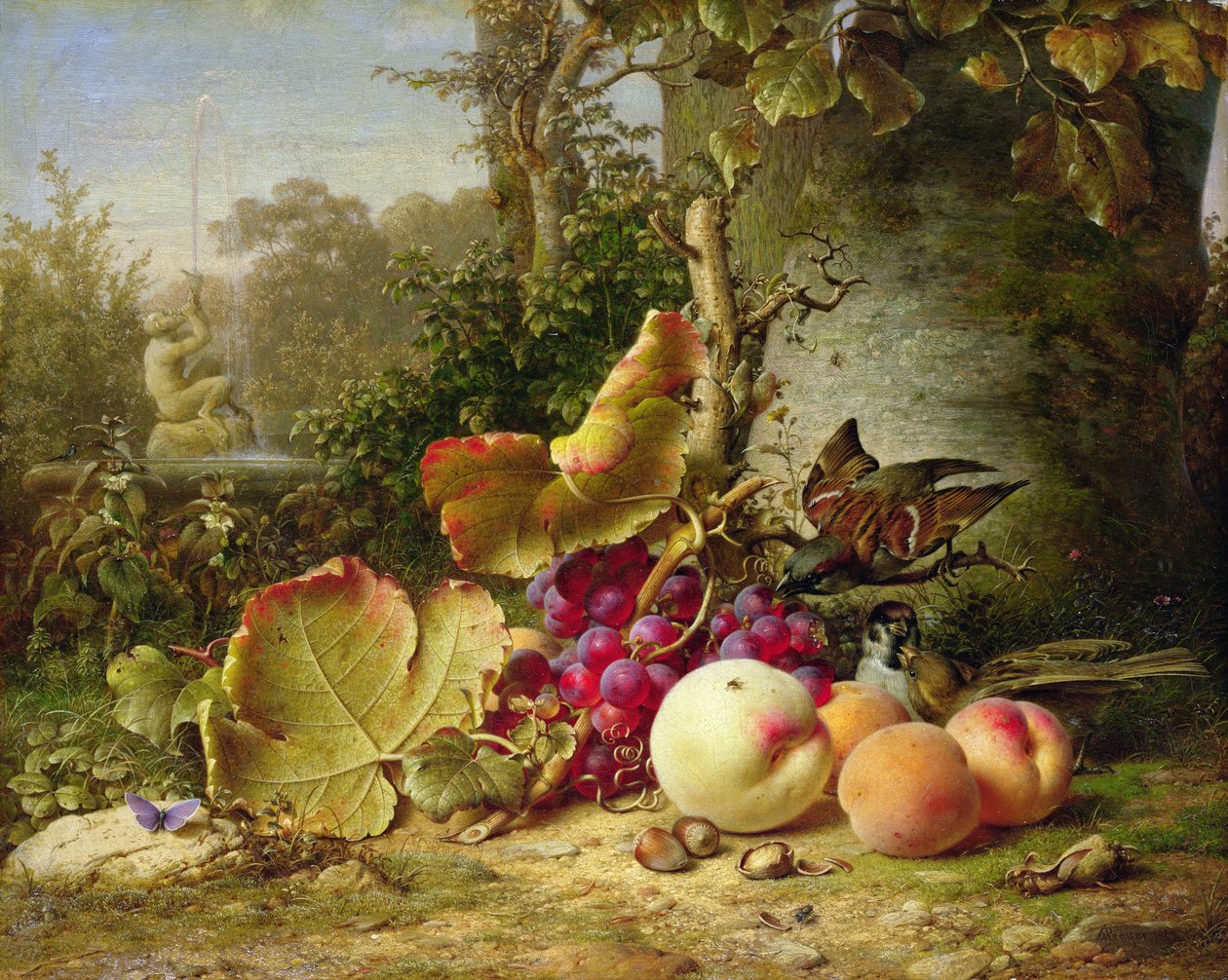 Hedelmät ja varpuset, 1863 tekijältä Johann Wilhelm Preyer