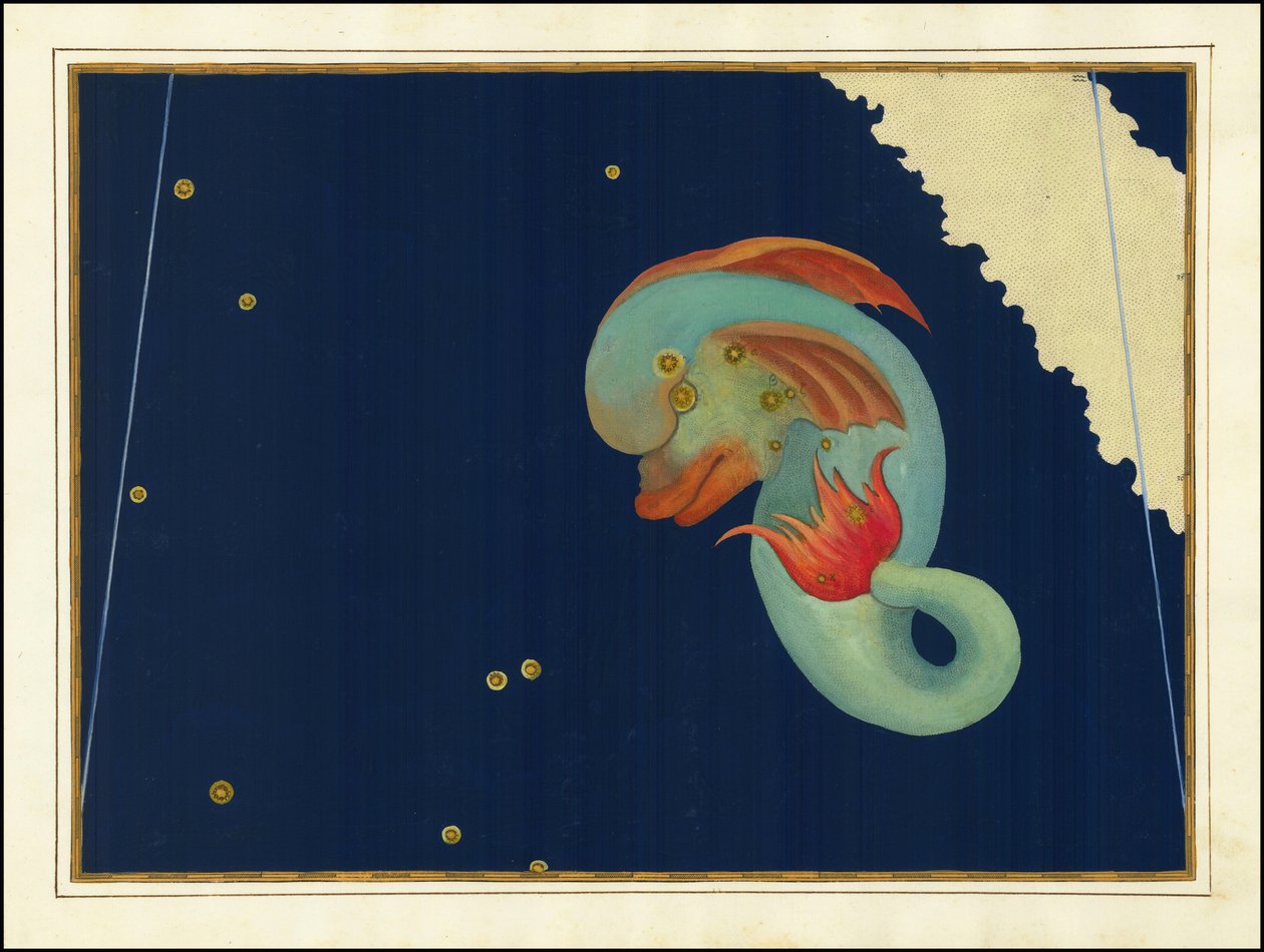 Johann Bayer, Delphinus tekijältä Johann Bayer