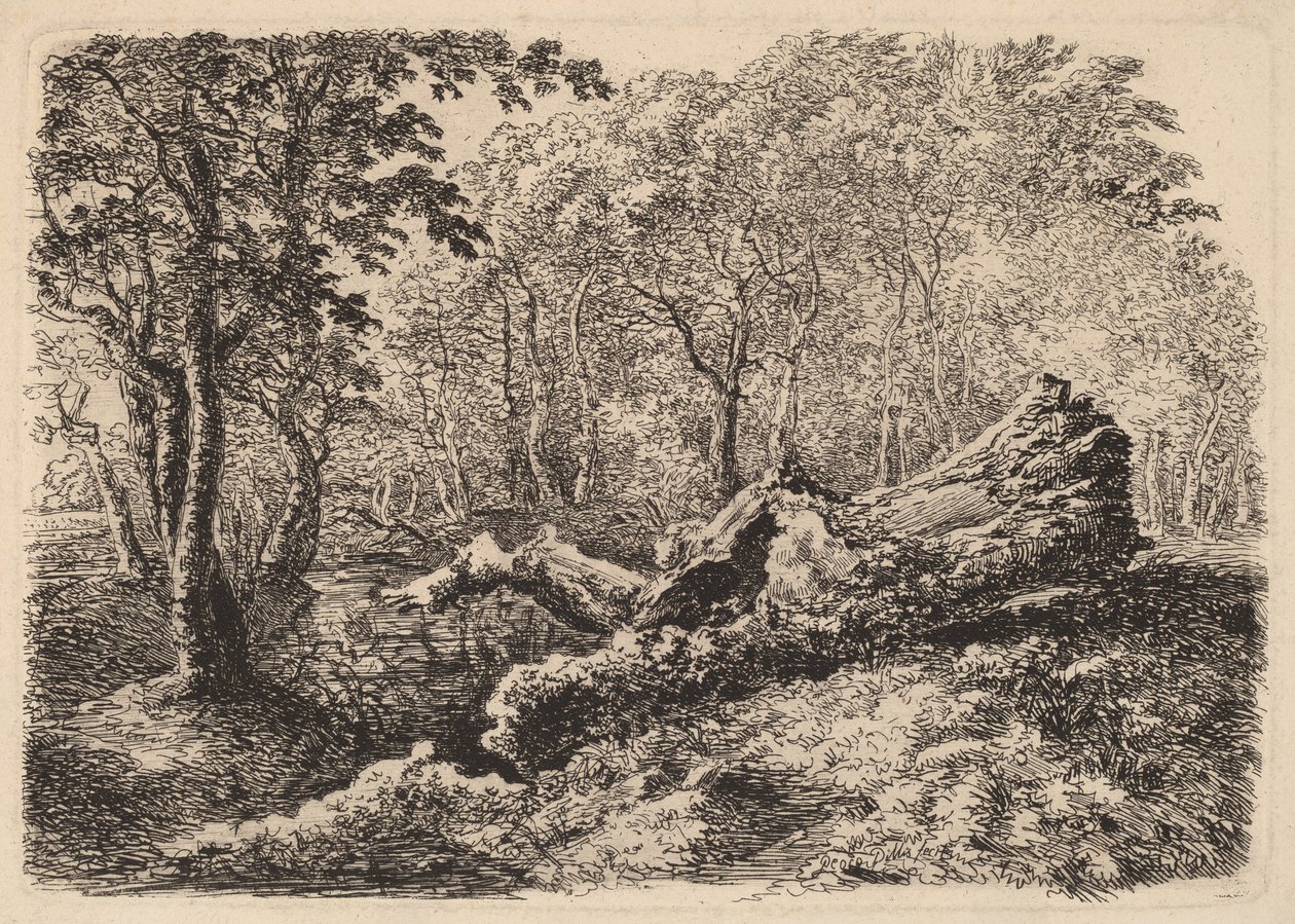 Mouldering puun runko tekijältä Johann Georg von Dillis