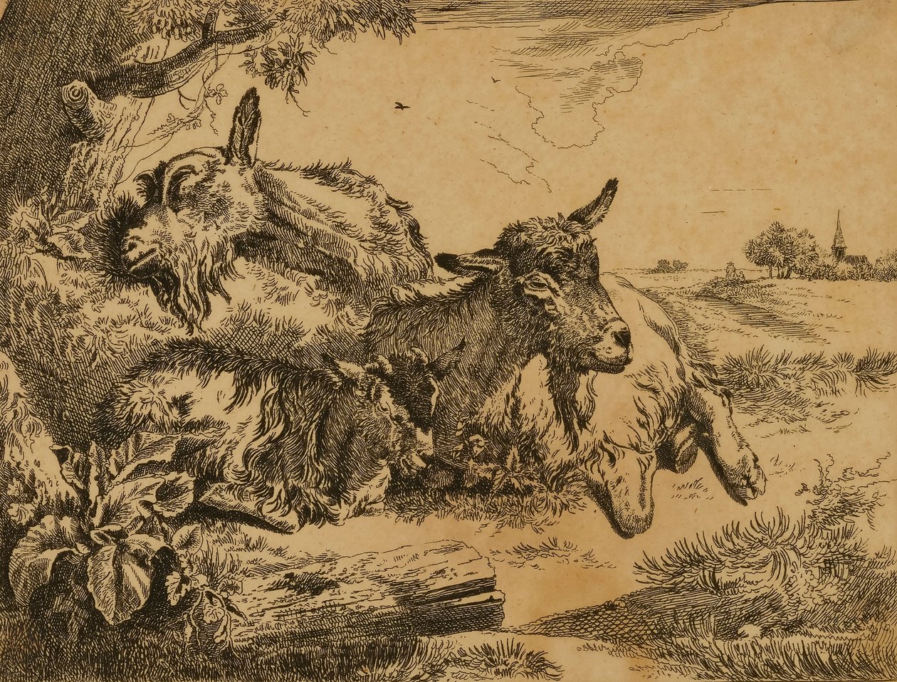 Kaksi vuohta ja lapsi tekijältä Johann Heinrich Roos