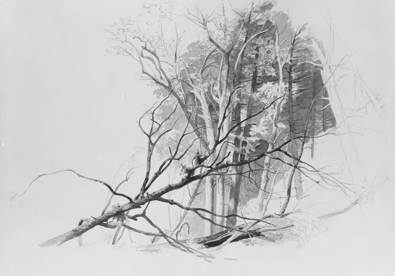 Metsäkohtaus,. tekijältä Johann Hermann Carmiencke