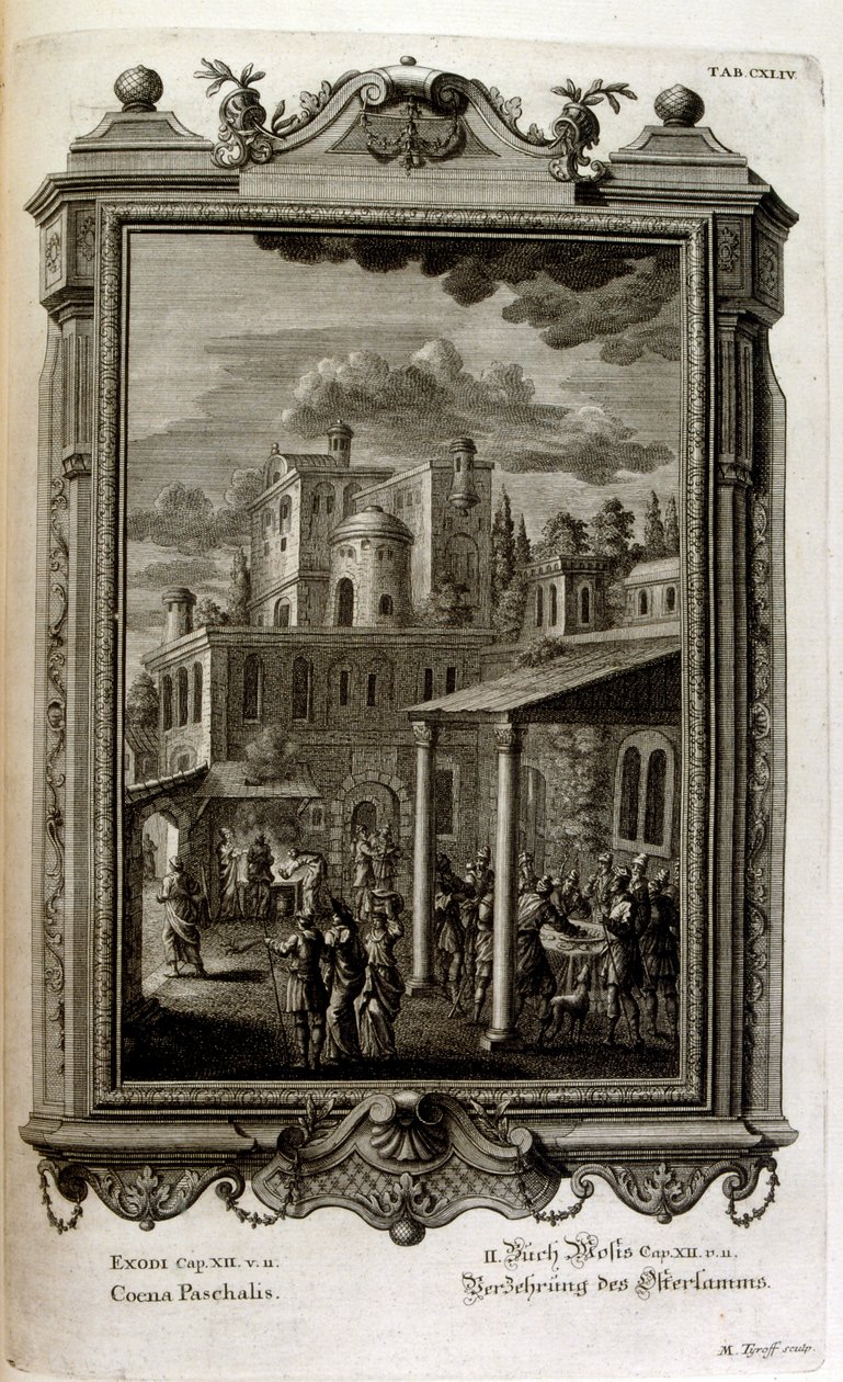 Kuva tekijältä Johann Jakob Scheuchzer