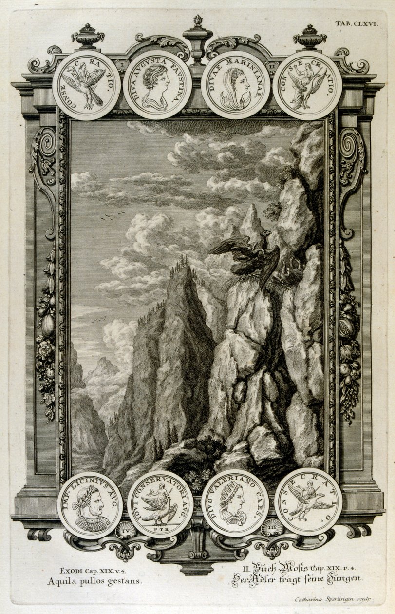 Zeus symboloi kotka tekijältä Johann Jakob Scheuchzer