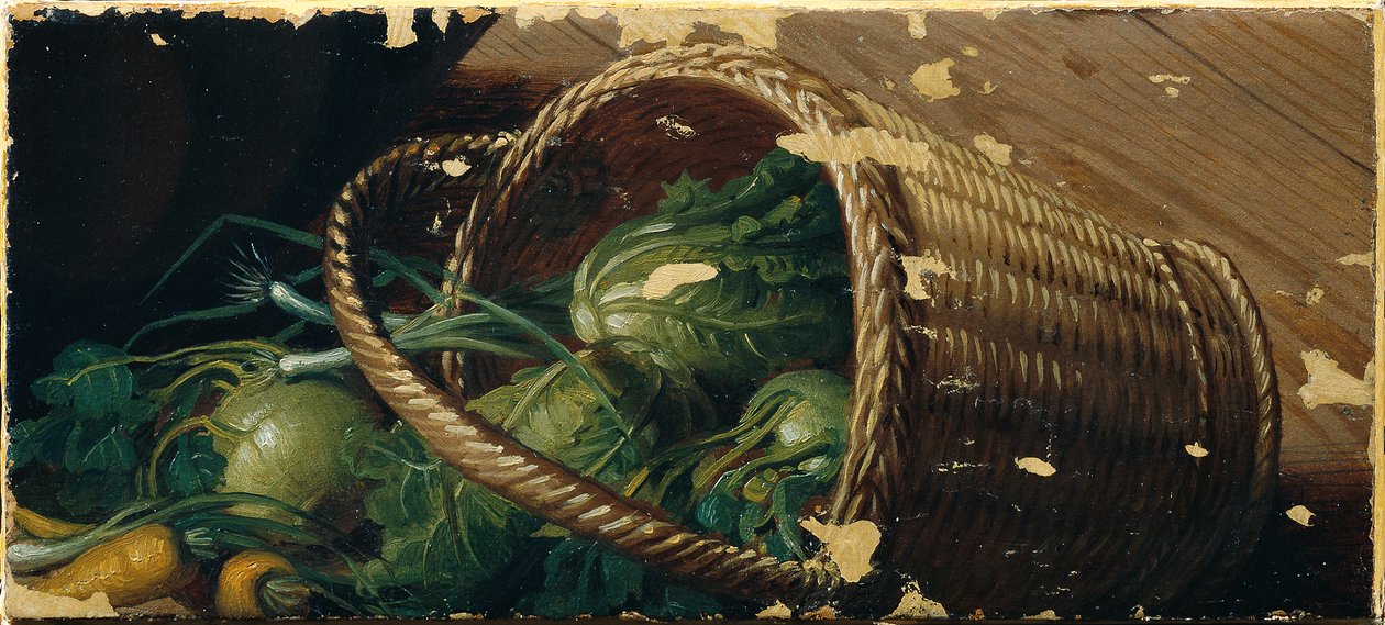 Kasviskori (fragmentti) tekijältä Johann Peter Krafft