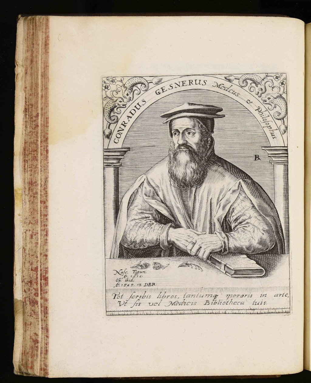 Conrad Gessner tekijältä Johann Theodor de Bry