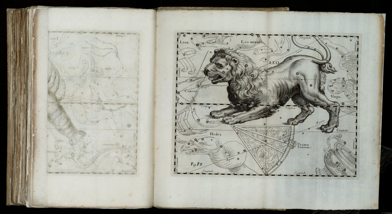 Leijona (tähdistö), elokuvasta "Prodrome of Astronomy" tekijältä Johannes Hevelius