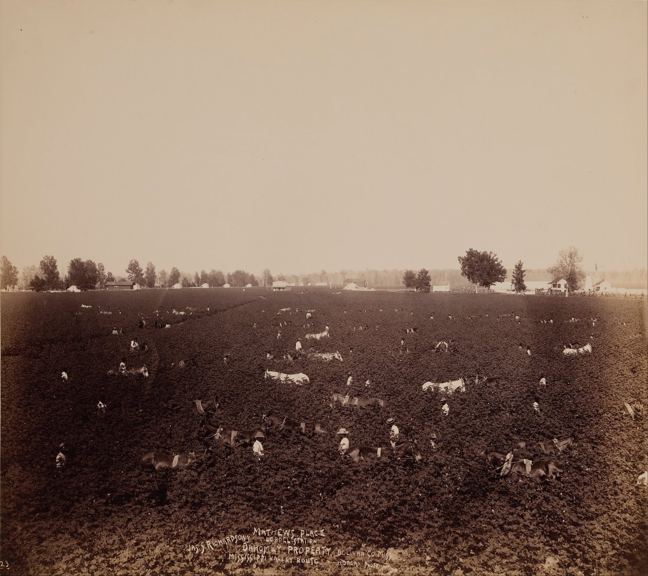 Mathews Place, Lobdellin asema, Jass. Richardsons Property, Bolivar County., Miss., Mississippi Valle ... tekijältä John Horgan Jr.