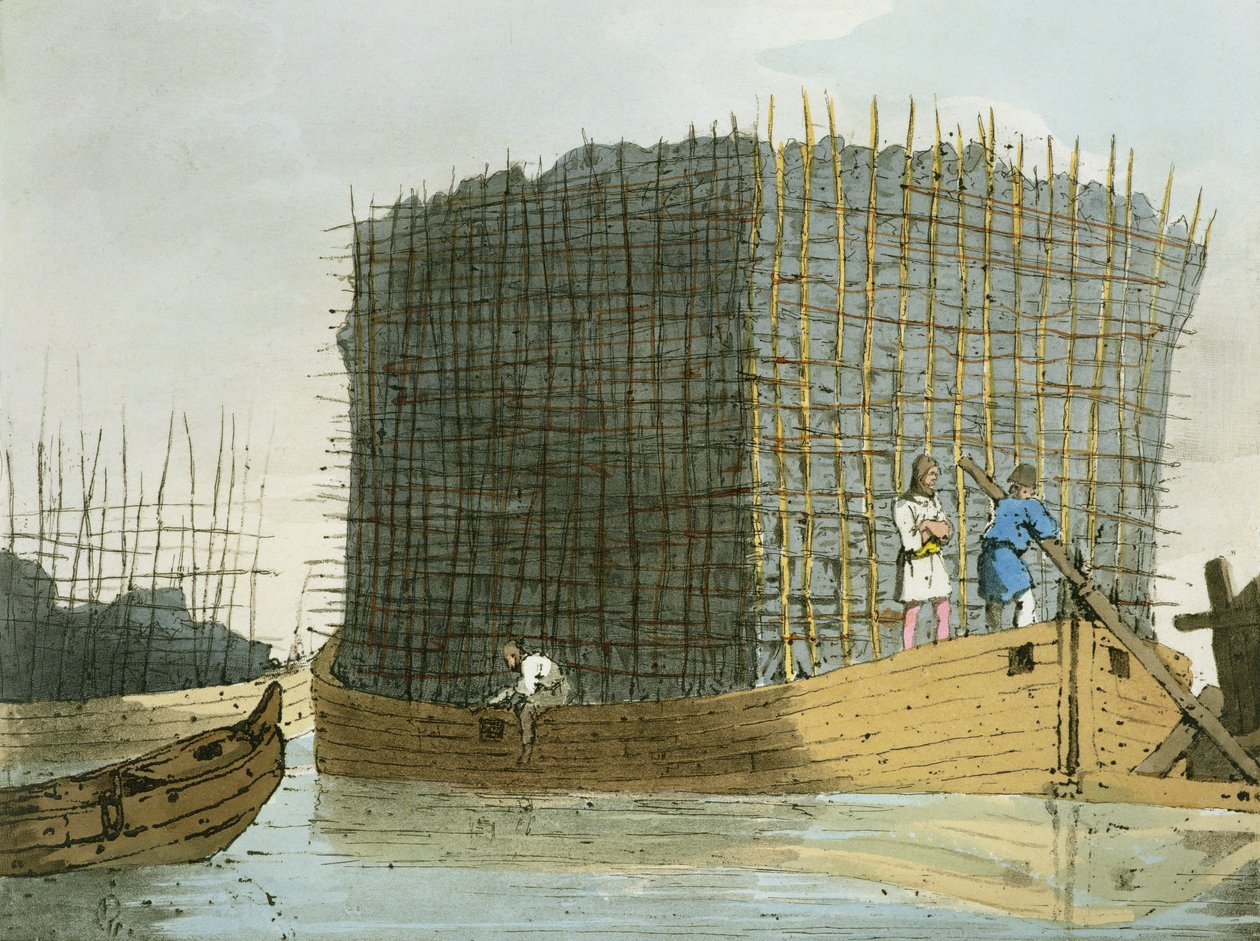 Charcoal Bark, taiteilijan kaivertama, julkaistu 1803 tekijältä John Augustus Atkinson