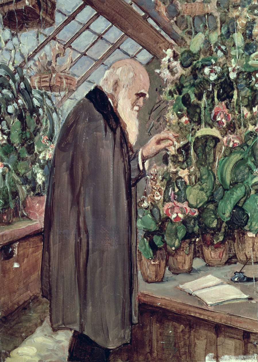 Charles Robert Darwin (1809-82) tekijältä John Collier