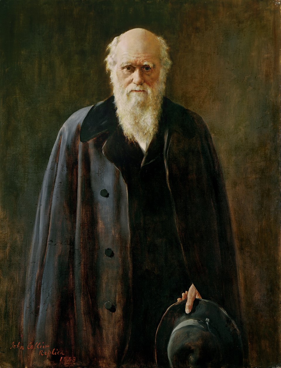 Charles Darwinin (1809-1882) muotokuva 1883 tekijältä John Collier