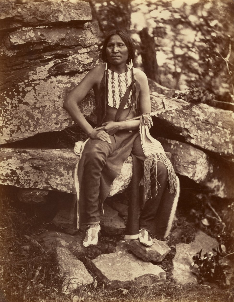 Pikku karhu, Cheyenne tekijältä John K. Hillers