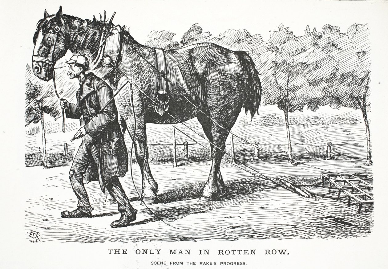 Ainoa mies Rotten Rowssa tekijältä John Leech