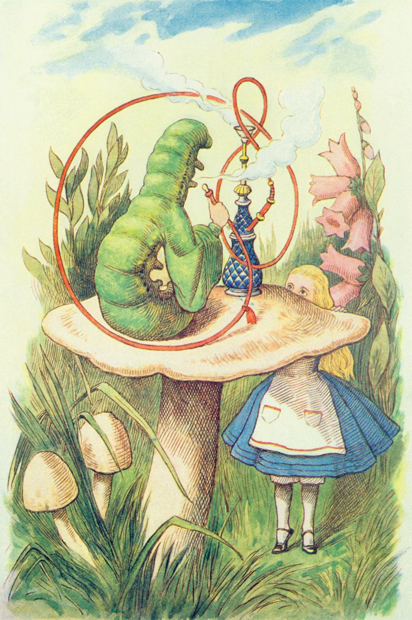 Liisa tapaa toukan, kuvitus Lewis Carrollin (1832-9) teoksesta Liisa ihmemaassa. tekijältä John Tenniel