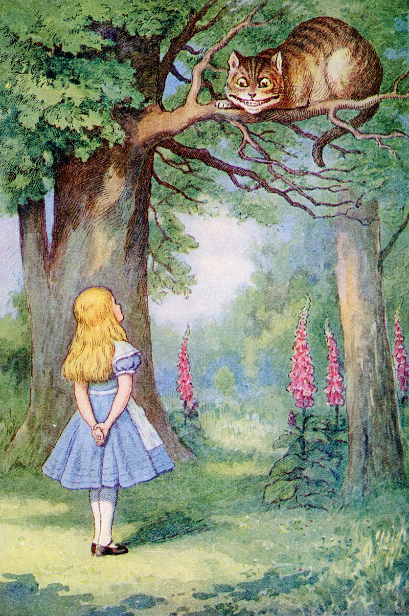 Liisa ja kissa, kuvitus Lewis Carrollin (1832-98) teoksesta Liisa ihmemaassa. tekijältä John Tenniel