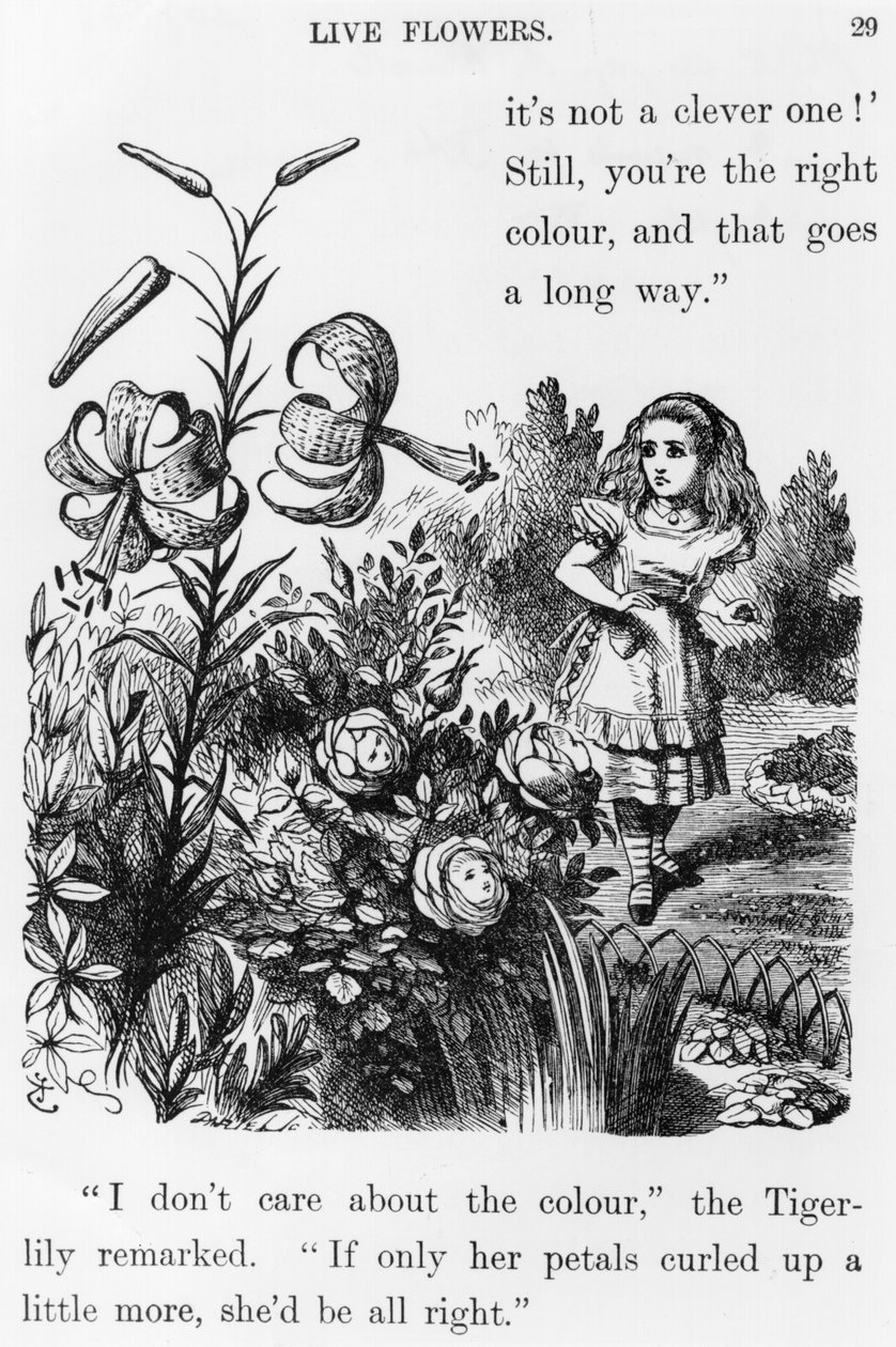 Tiger Lily, Lewis Carrollin (1832-98) elokuvasta Through the Looking Glass tekijältä John Tenniel