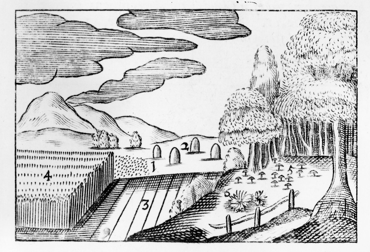 Maan hedelmät, 1658 tekijältä John Amos Comenius