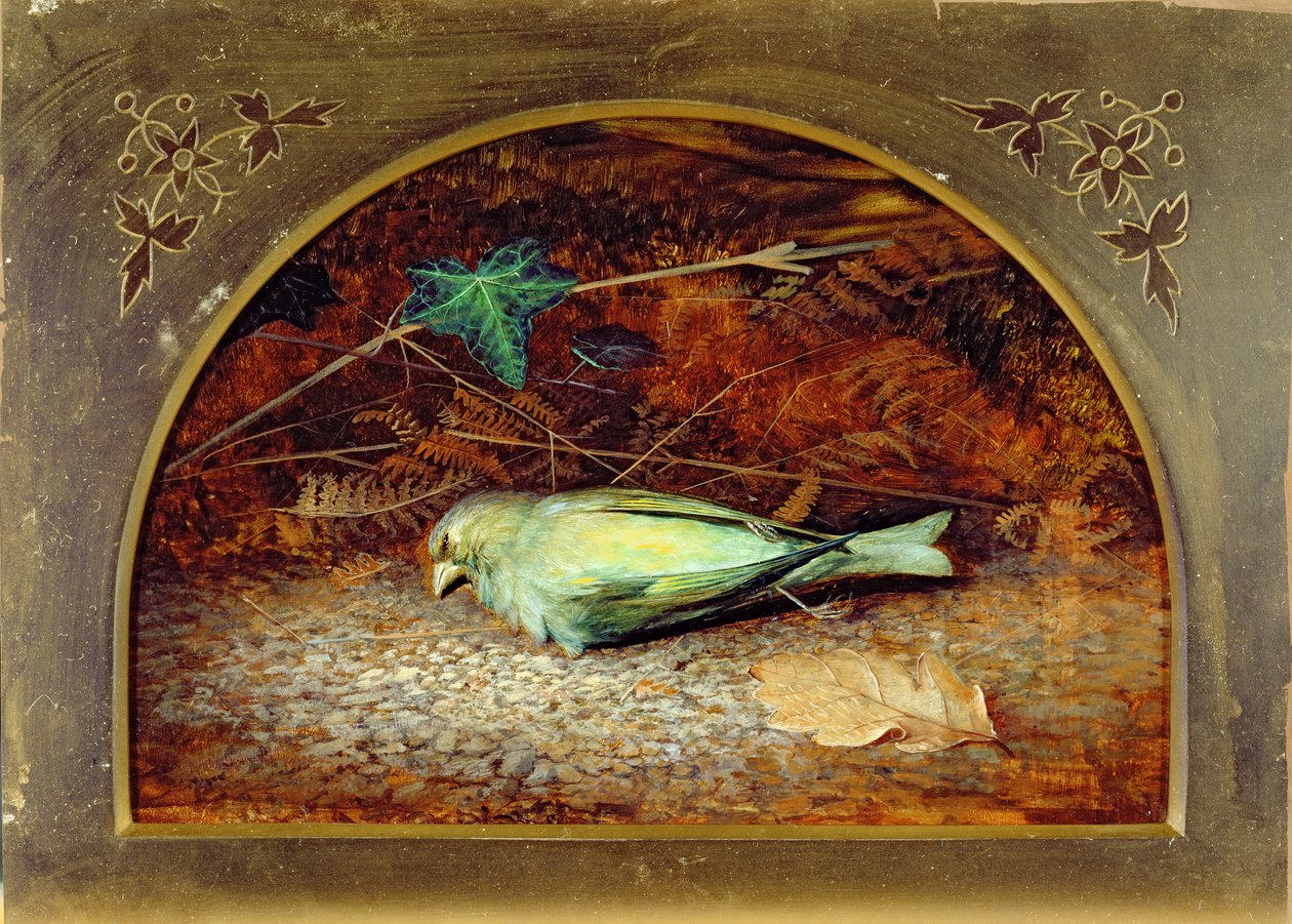 Kuollut Linnet tekijältä John Atkinson Grimshaw