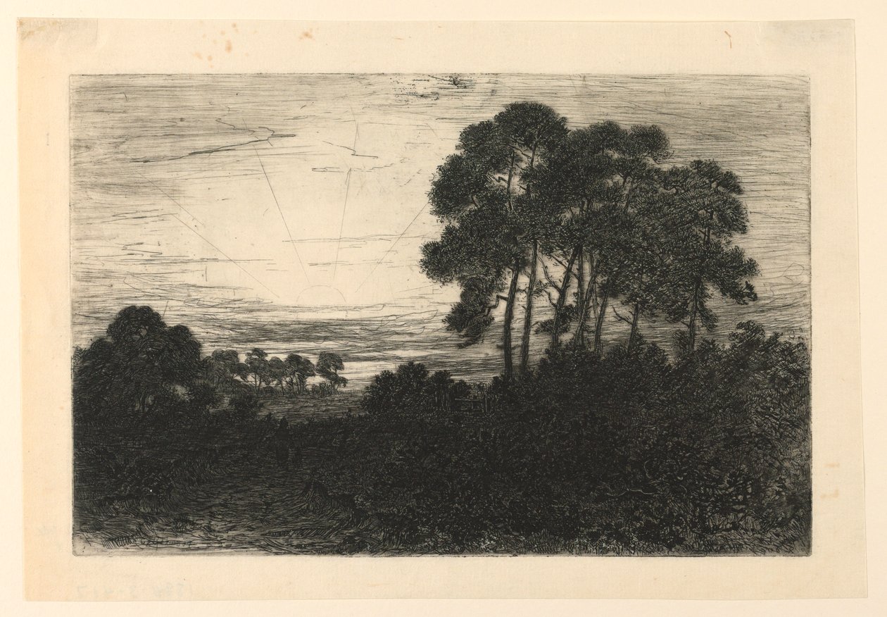 Auringonlasku tekijältä John Charles Robinson