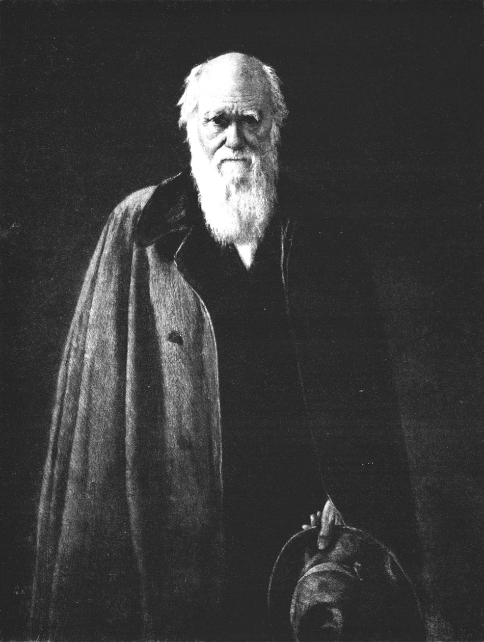Charles Darwin 1809-1882, 1883, 1912 tekijältä John Collier