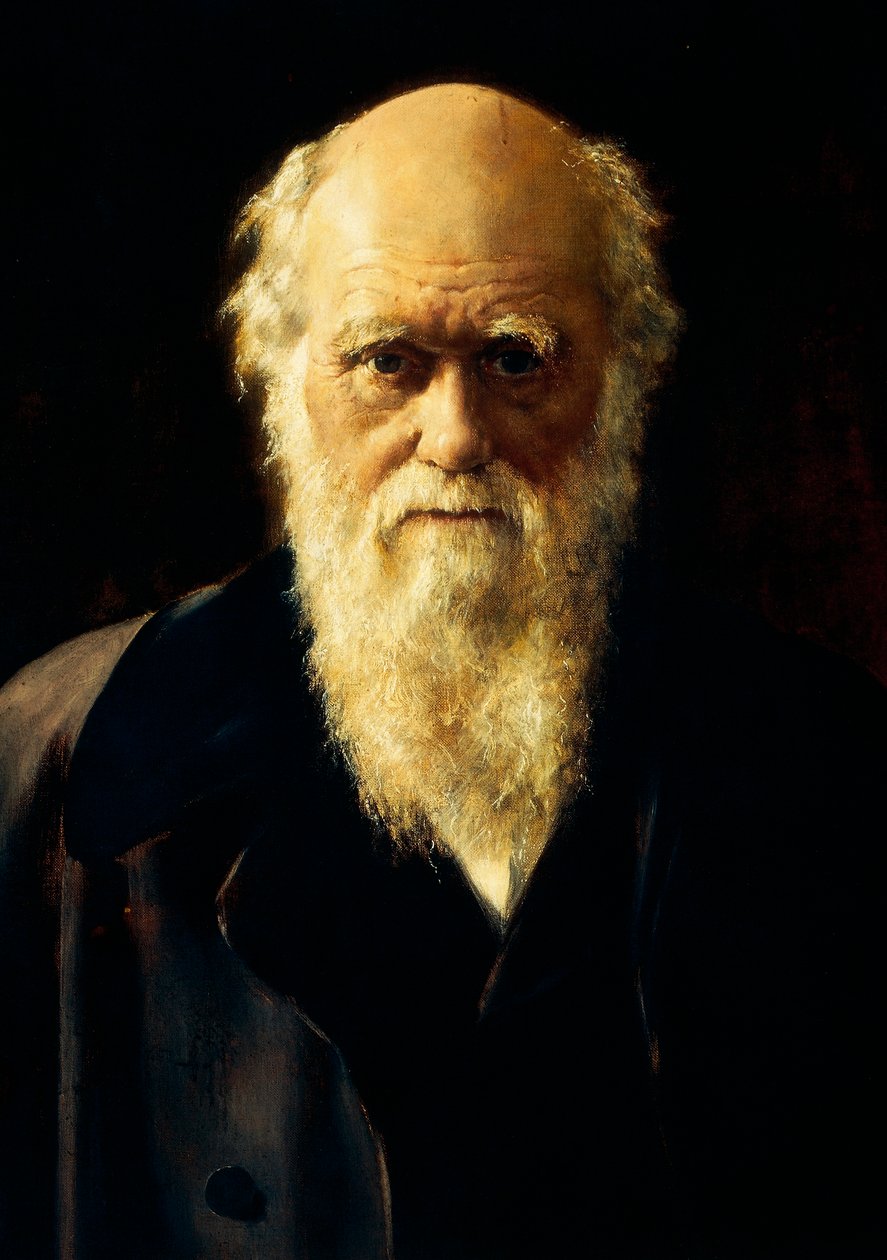 Charles Darwinin muotokuva tekijältä John Collier
