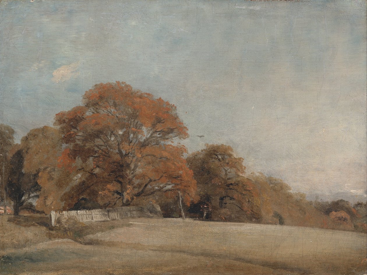 Syksyinen maisema East Bergholtissa tekijältä John Constable