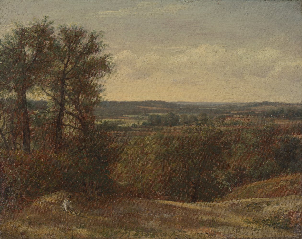 Dadham Wale tekijältä John Constable