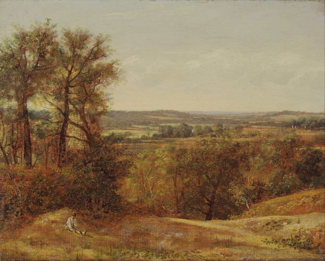 Dedham Vale tekijältä John Constable