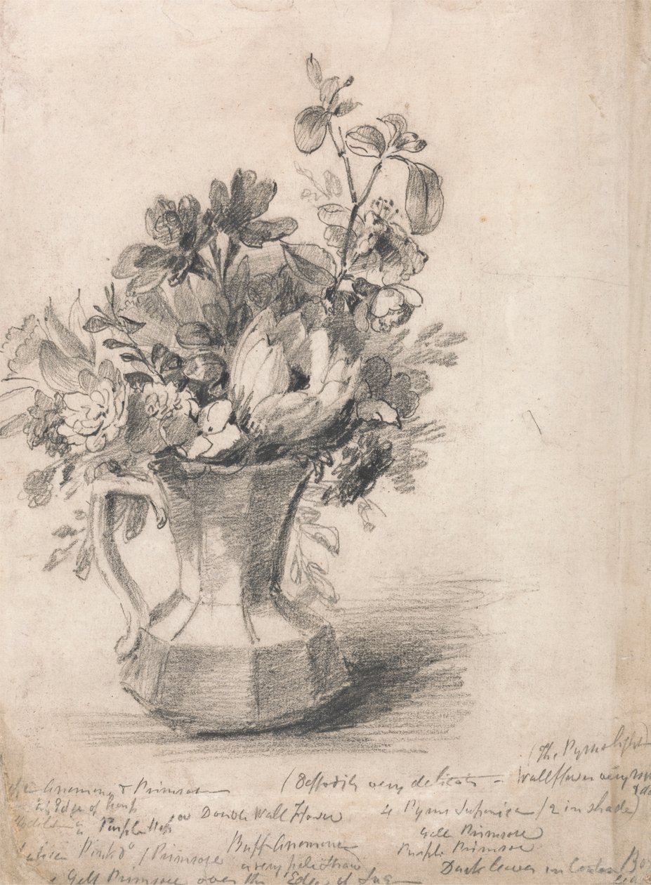 Kukkia kannussa tekijältä John Constable