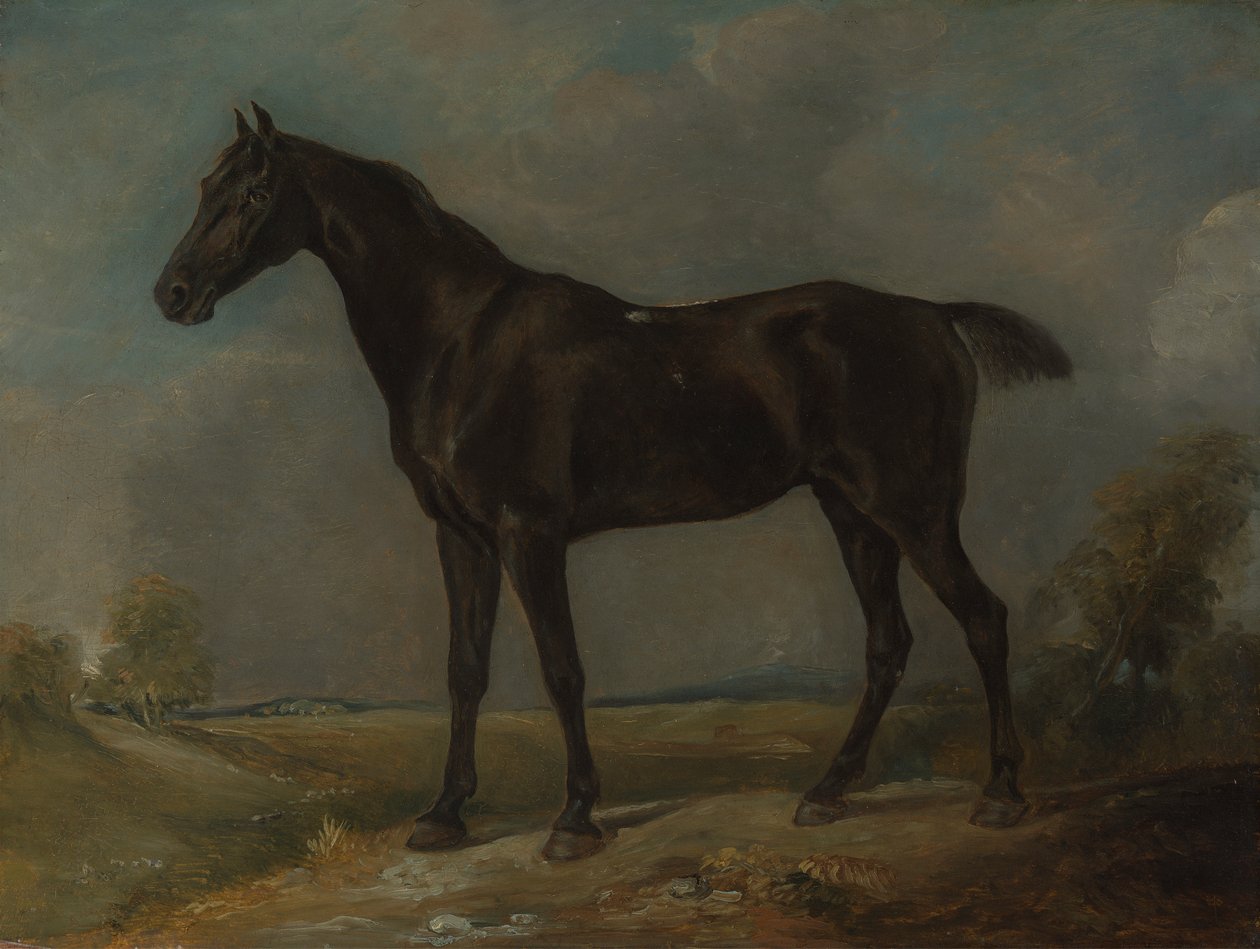 Golding Constablen musta ratsastushevonen tekijältä John Constable
