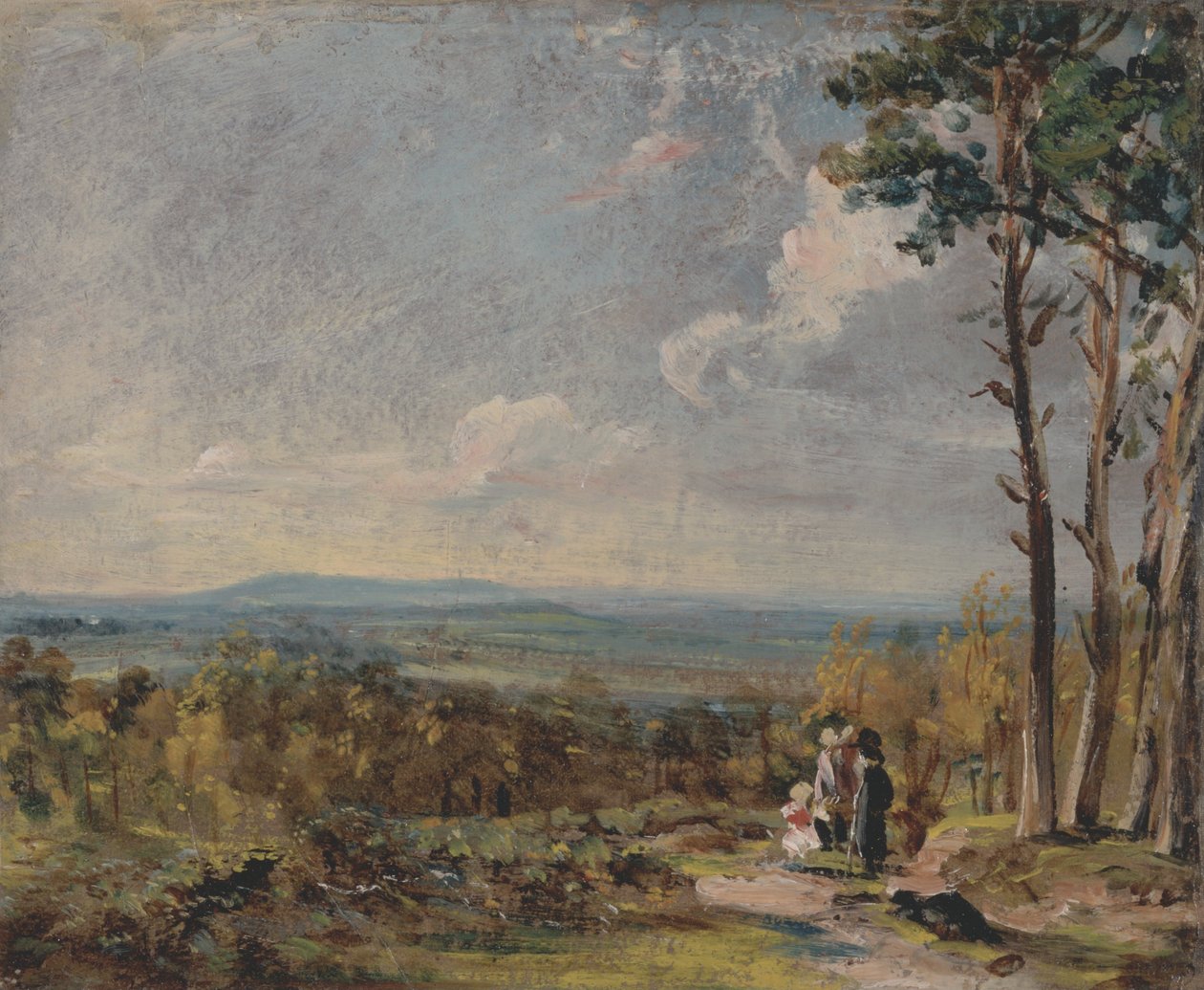 Hampstead Heath Harrow