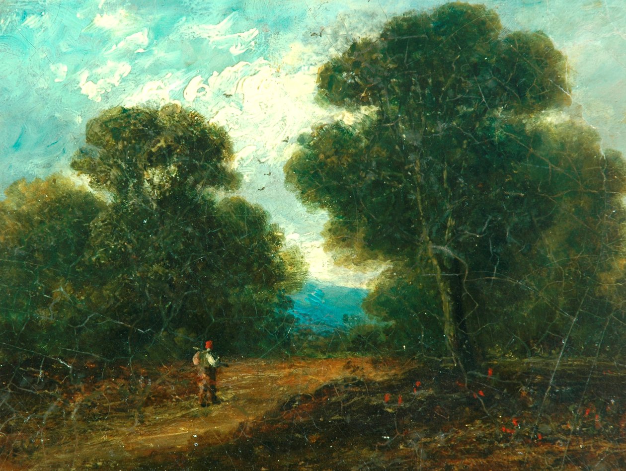 Maisema lähellä Norwichia tekijältä John Constable
