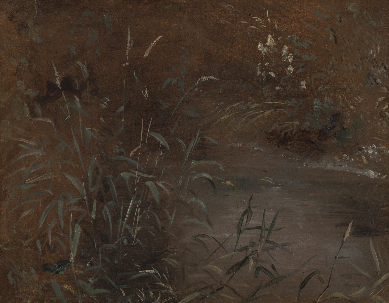 Kiipeää uima-altaalla tekijältä John Constable