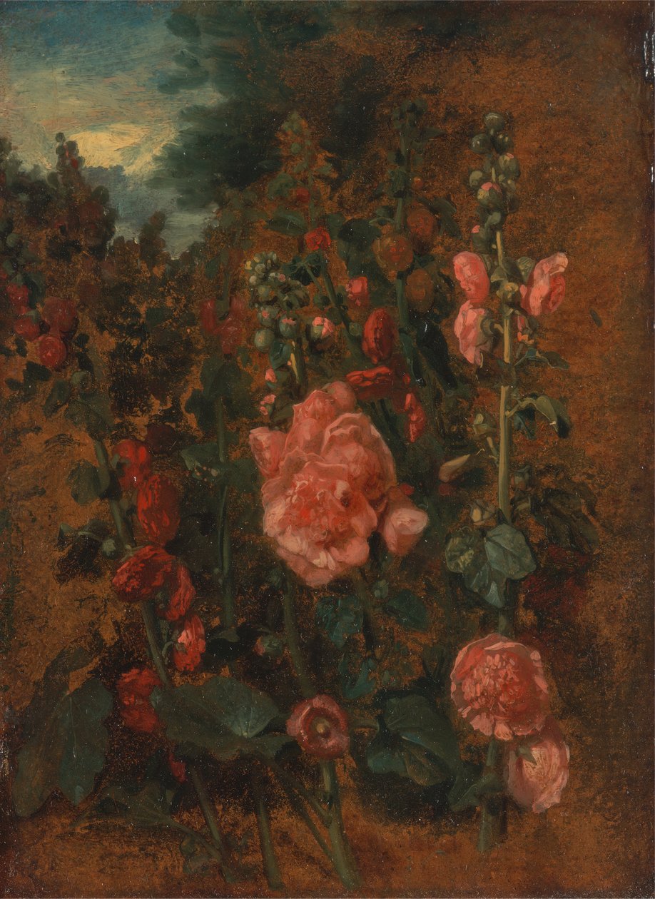 Hollyhocks-tutkimus, n. 1826. tekijältä John Constable