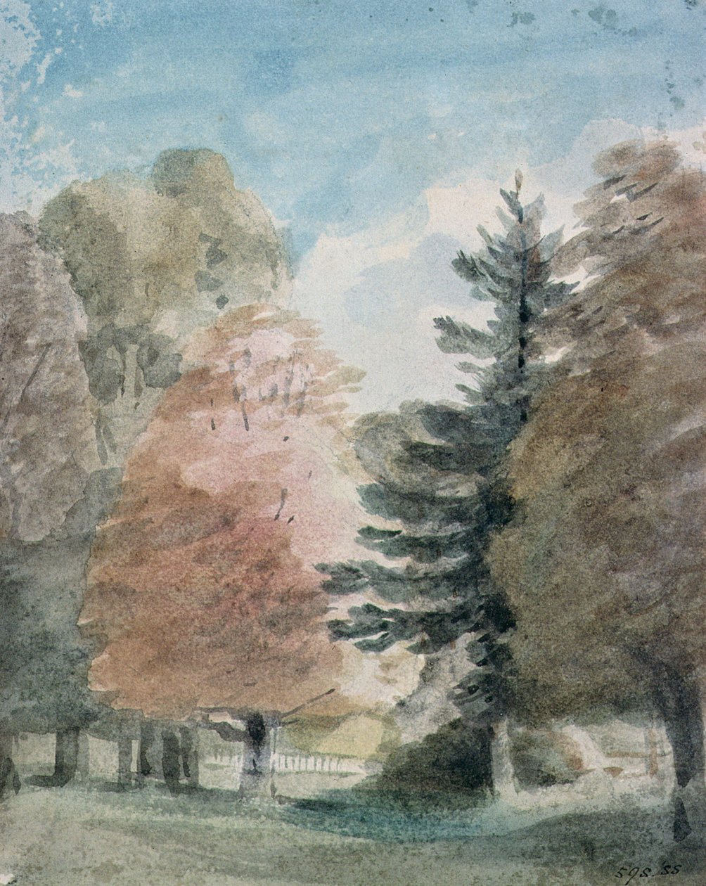 Puiston puiden tutkimus (akvarelli) tekijältä John Constable