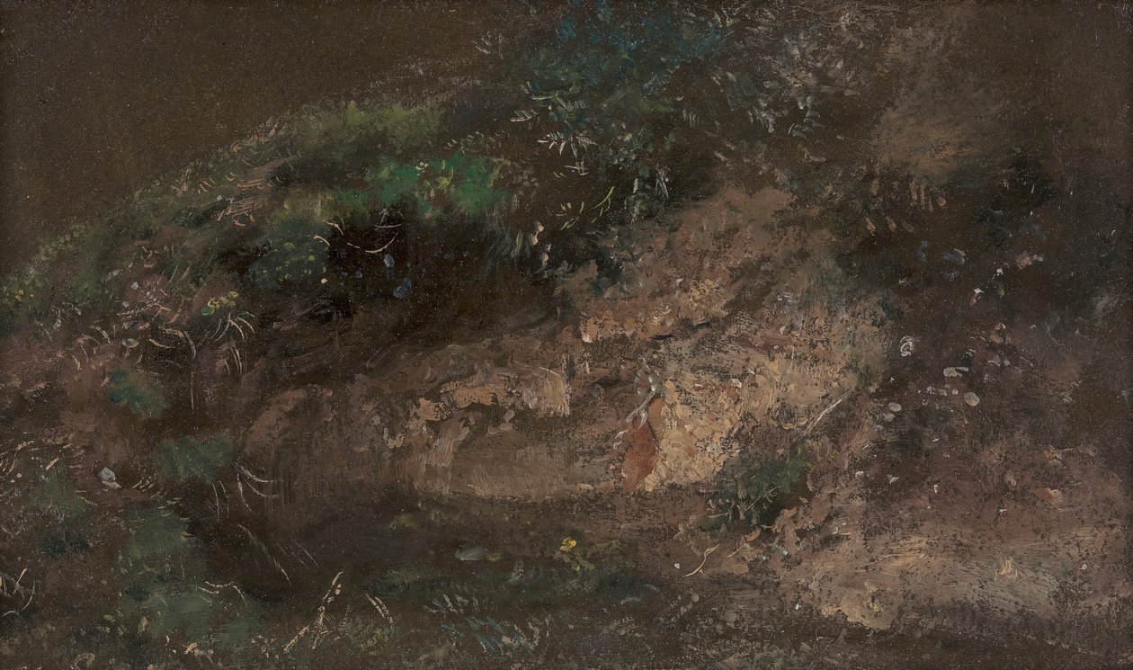 Aluskasvillisuus, n. 1821. tekijältä John Constable