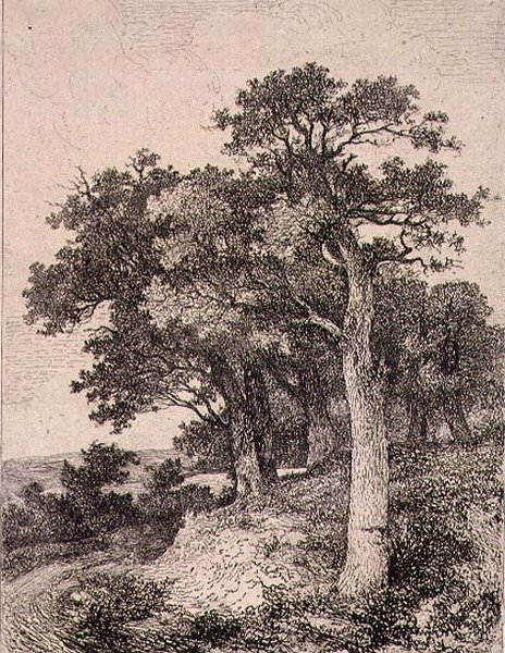 Colneyssa, pubissa. kirjoittanut J. & W. Freeman tekijältä John Crome