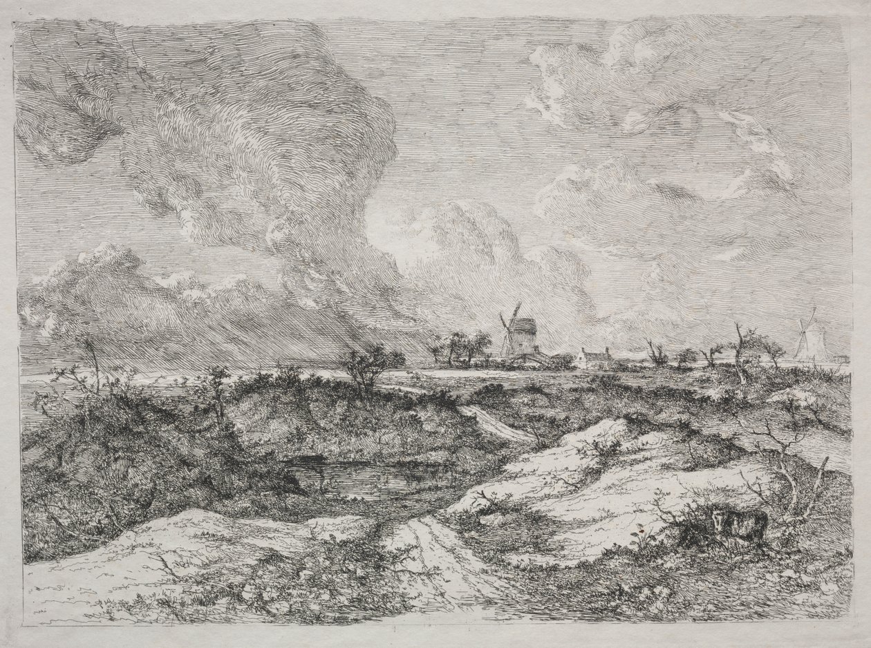 Mousehold Heath tekijältä John Crome