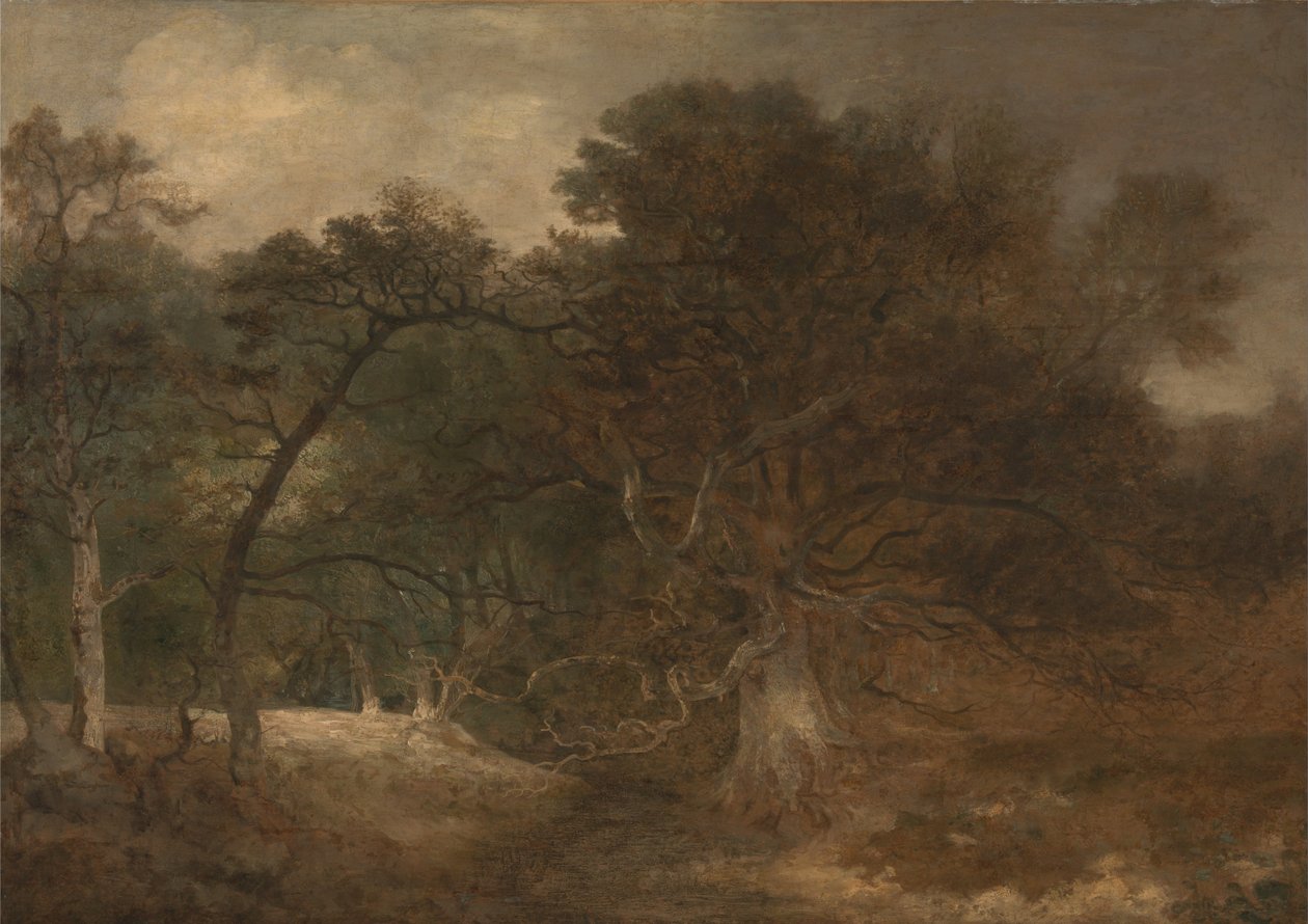 Metsämaisema Norwichin lähellä tekijältä John Crome