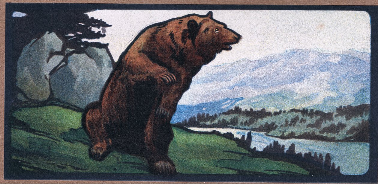 Ruskea karhu tekijältä John Edwin Noble