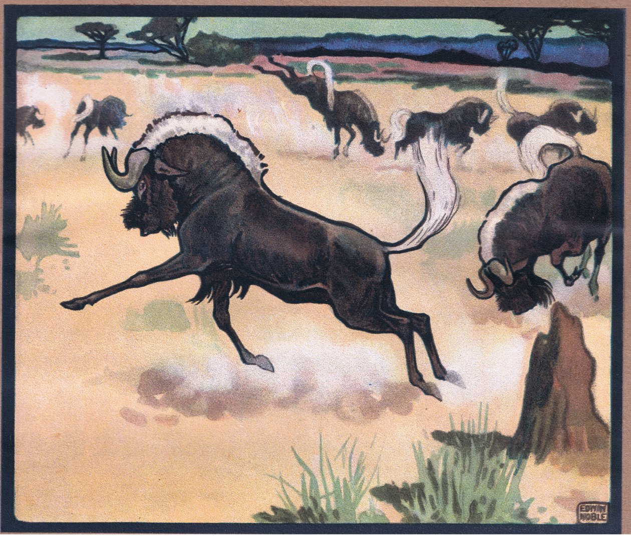 Gnu tekijältä John Edwin Noble