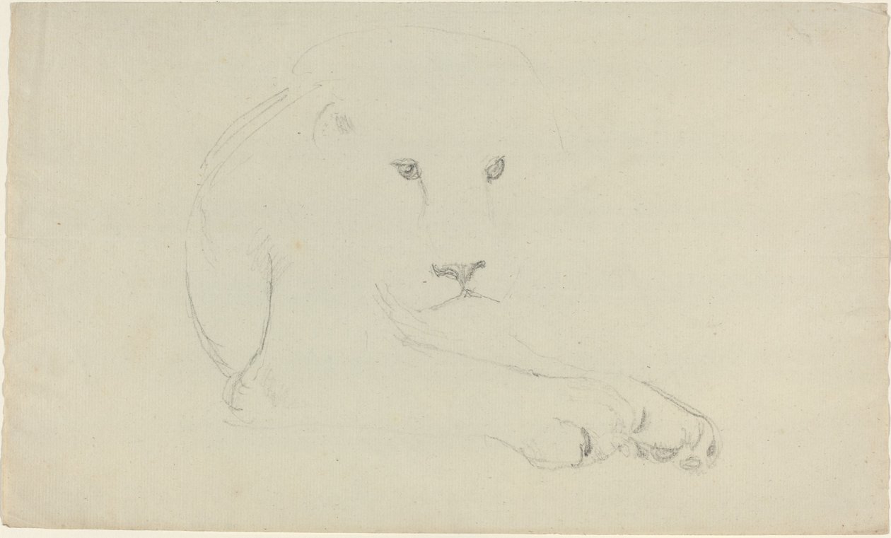Leijona tekijältä John Flaxman