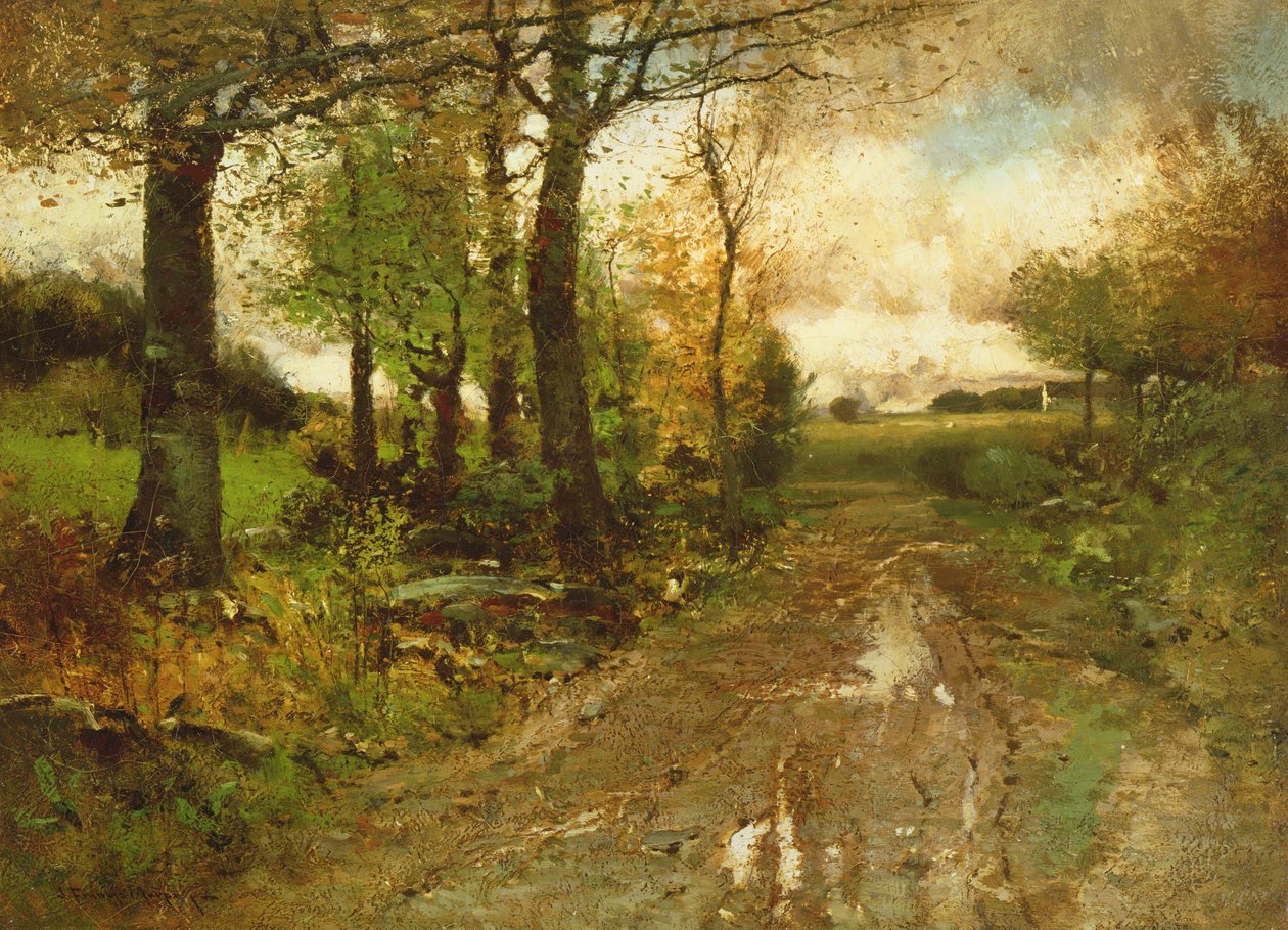 Tie metsän läpi tekijältä John Francis Murphy