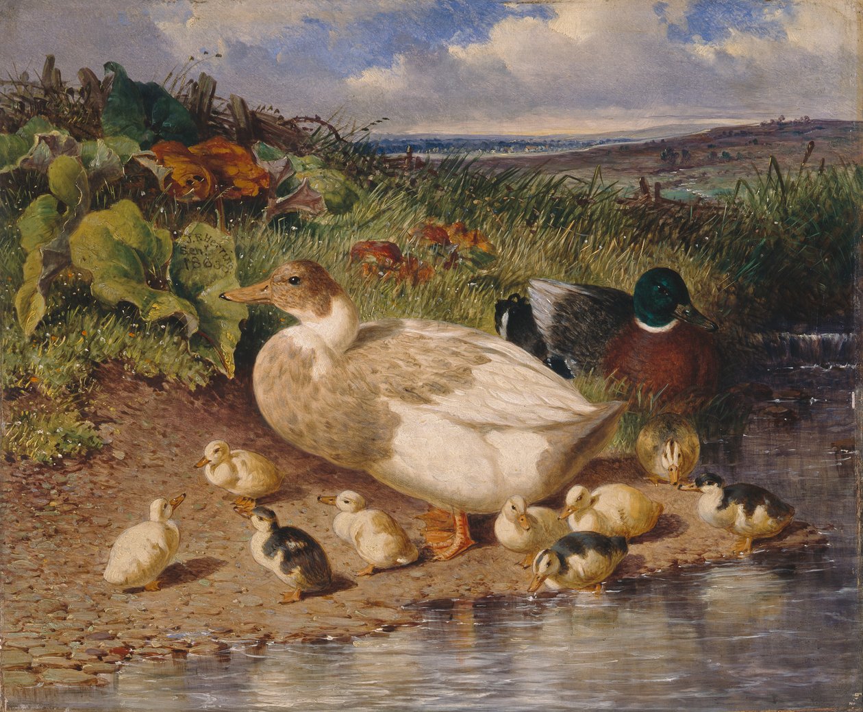 Ducks by a Stream tekijältä John Frederick Herring Snr