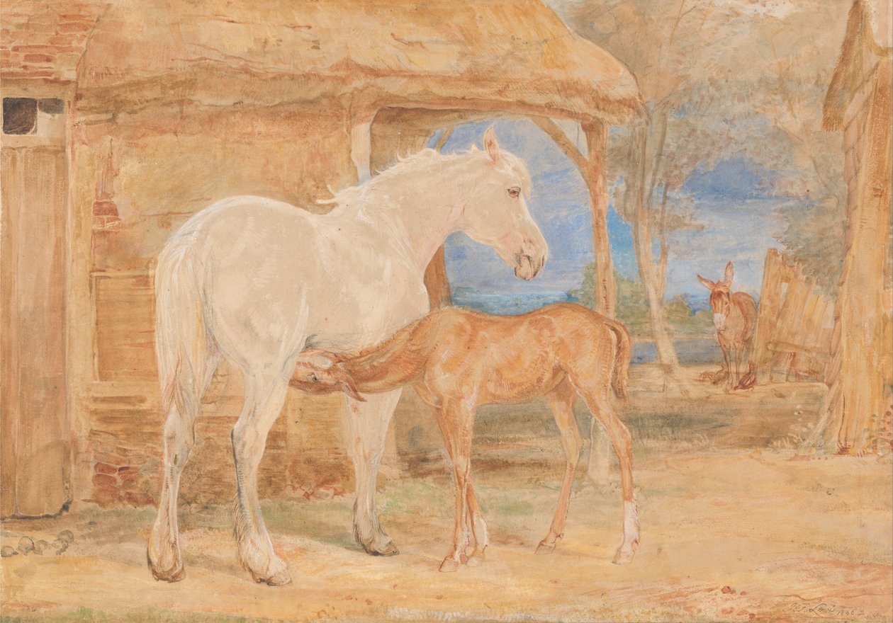Harmaa tamma ja kastanjanruskea varsa tekijältä John Frederick Lewis