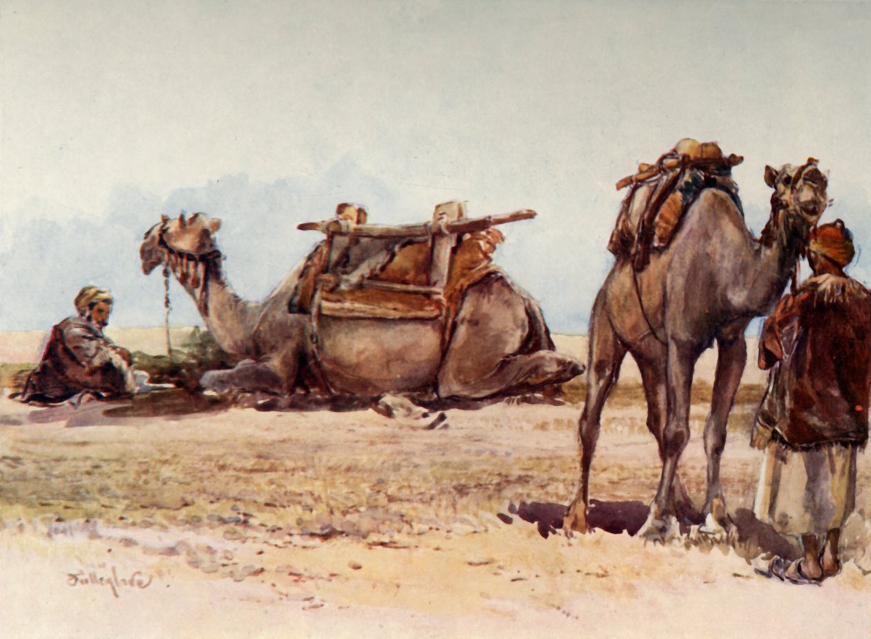 Study of Camels and Attendants, 1902. tekijältä John Fulleylove