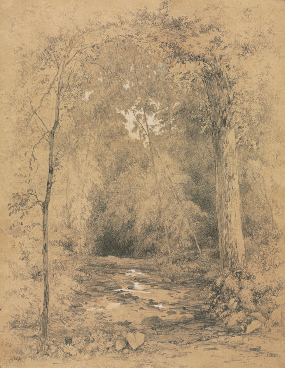 Metsän sisustus, n. 1870. tekijältä John Henry Hill