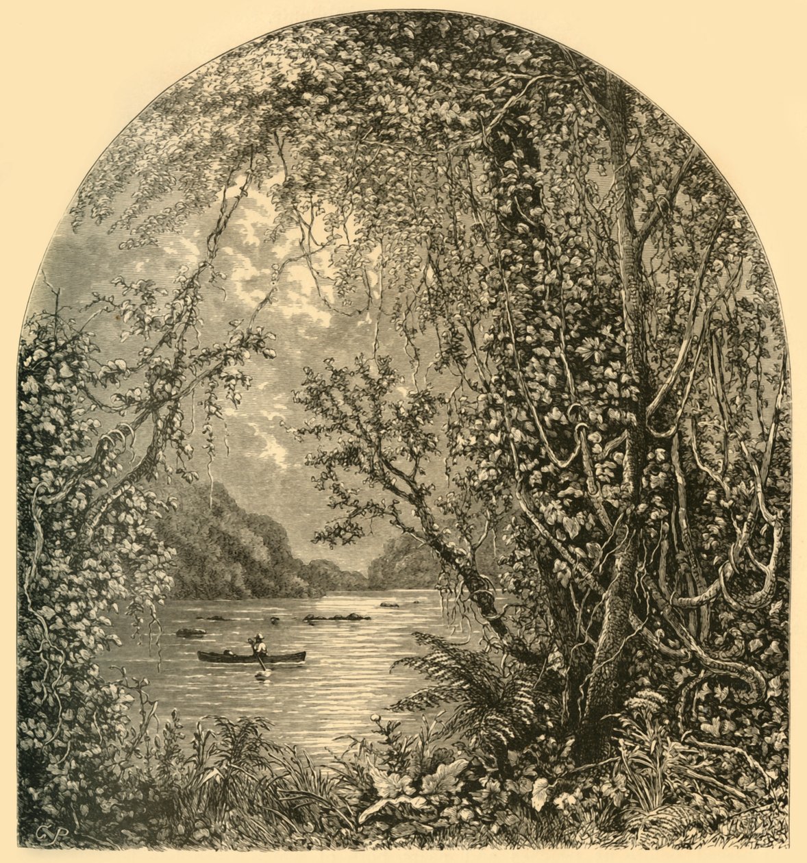 Potomac Harper