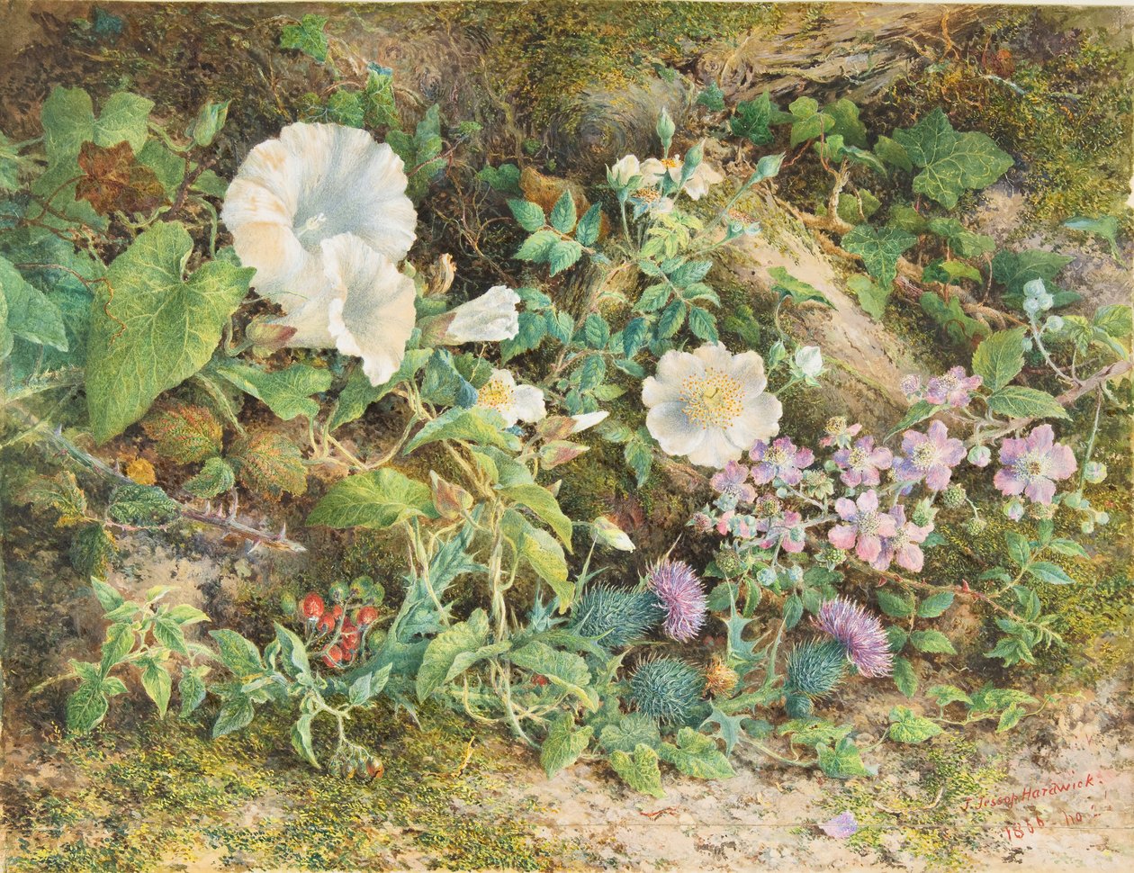Kukkatutkimus, 1866. tekijältä John Jessop Hardwick